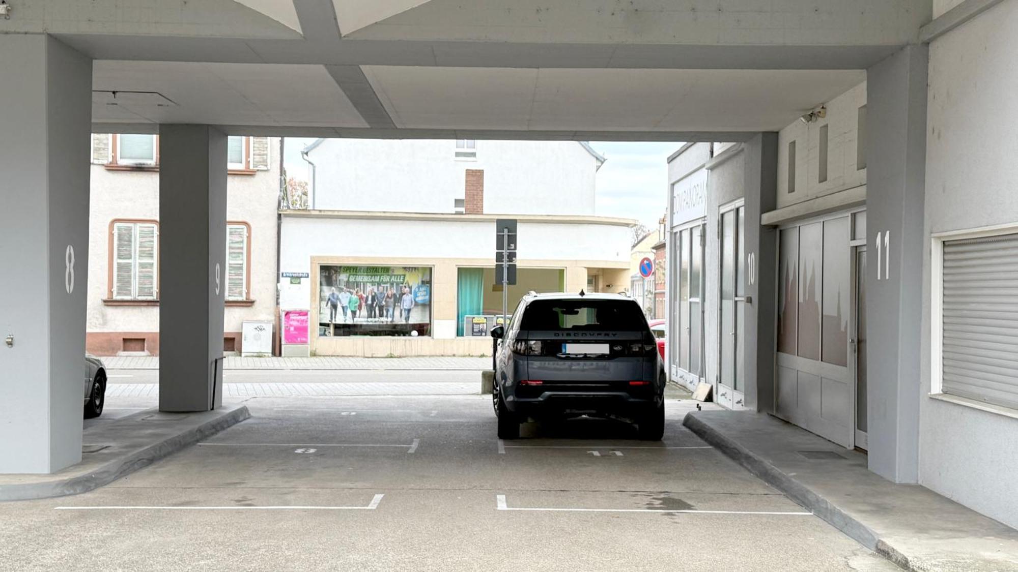 Dompanorama Der Weisse Pfau Apartment Fuer 2-4Pers Speyer Exteriör bild